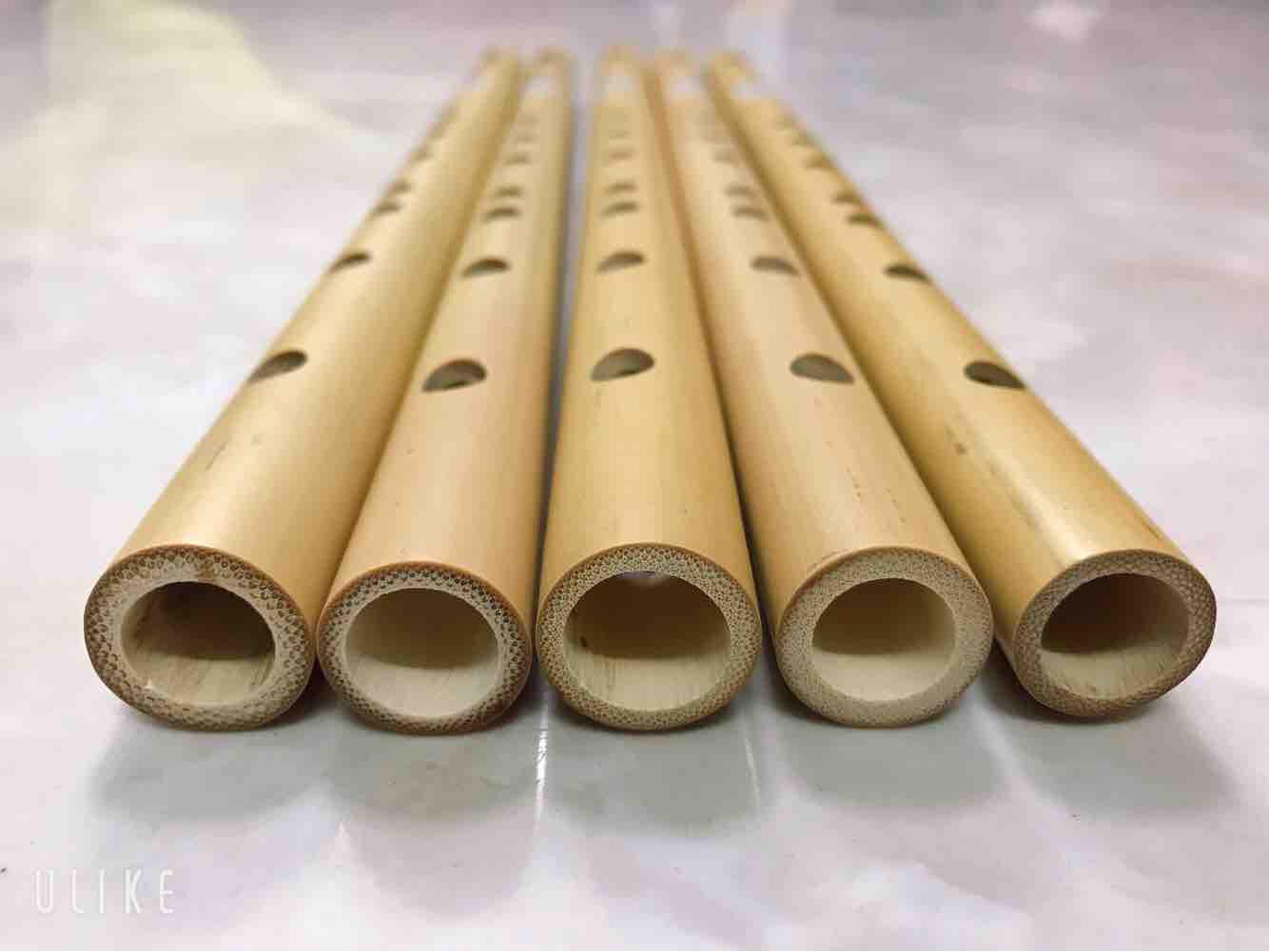 sáo dọc tone đô (dễ thổi nhất)