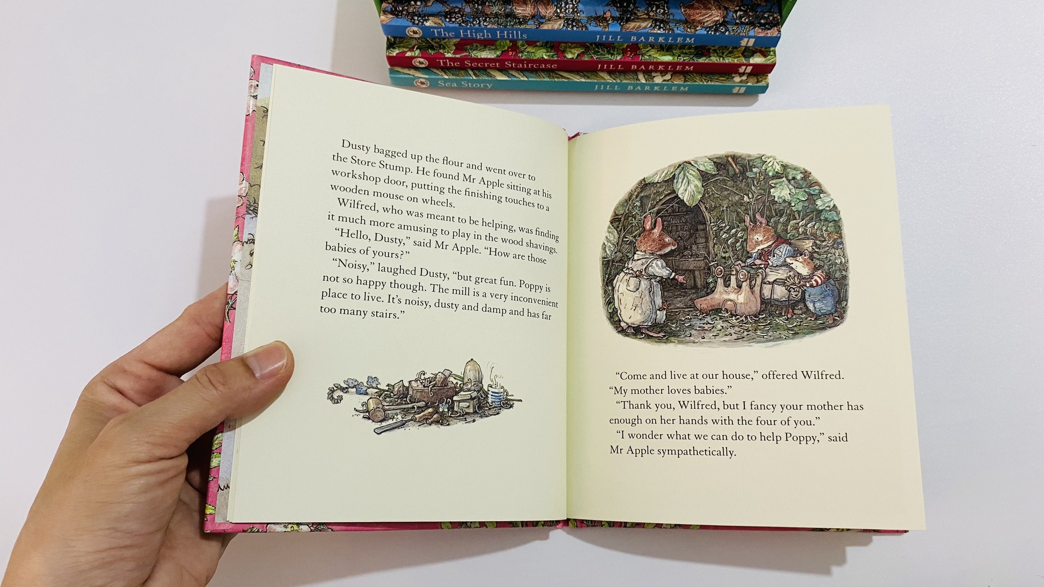 Adventures in Brambly Hedge