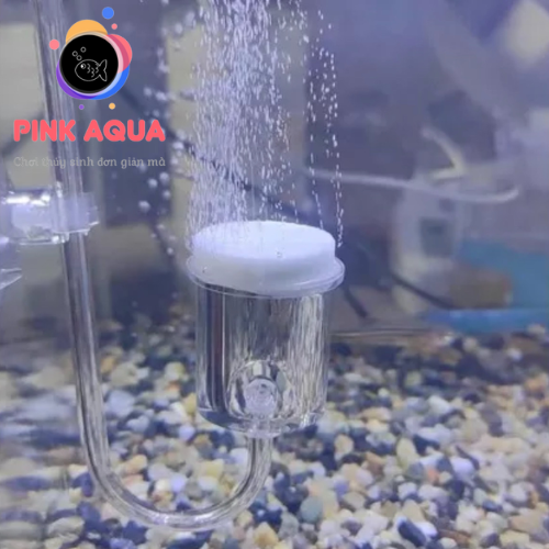 Cốc sủi oxy siêu mịn cho hồ thủy sinh , bể cá cảnh