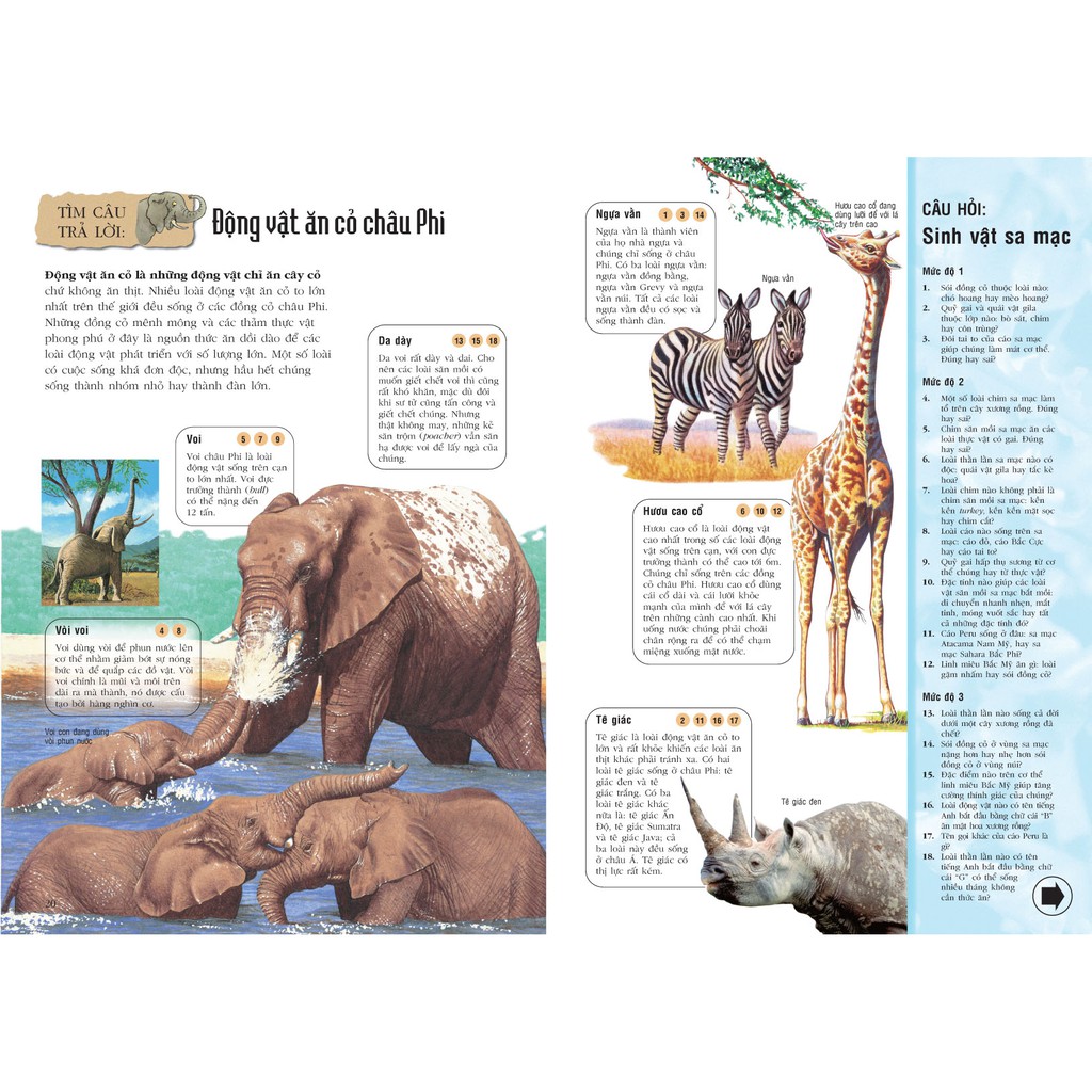 Sách - Đố Đáp Đủ Điều
