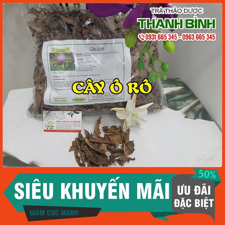 Cây Ô Rô 100G Khô Loại Cao Cấp - Hoàng Liên Ô Rô - Đông Y Thanh Bình
