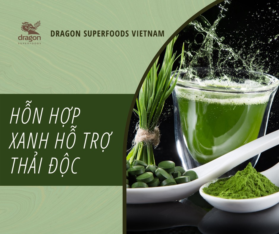 Bột thải độc Hữu Cơ Green Detox Organic (Spirulina, Chlorella, Cỏ Lúa Mì, Cỏ Lúa Mạch) 200G