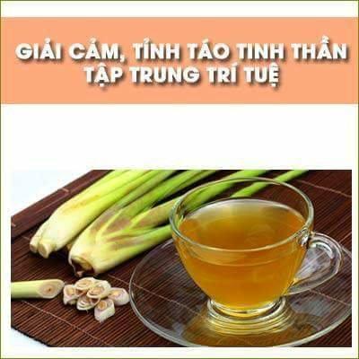 Tinh dầu sả chanh nguyên chất lọ 100ml