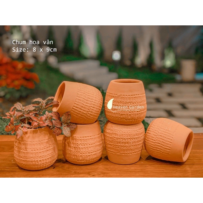 Chậu đất nung vintage - chậu trồng cây mini