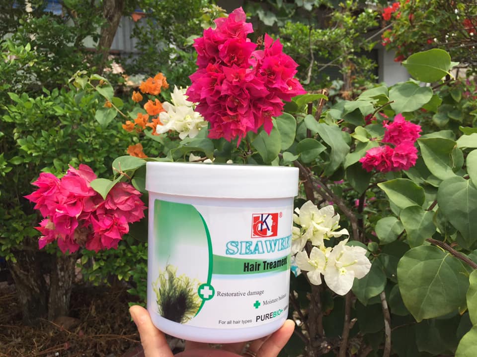 Kem hấp ủ tóc Rong biển Seaweed LK 1000 ml phục hồi tóc khô