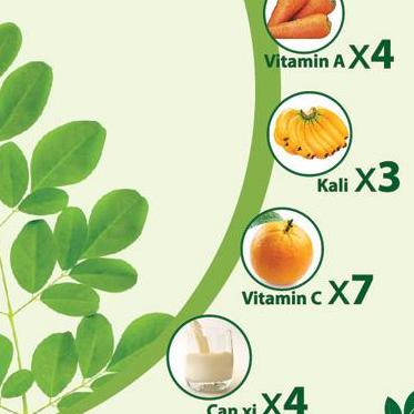 [HCM]Lá chùm ngây 1kg