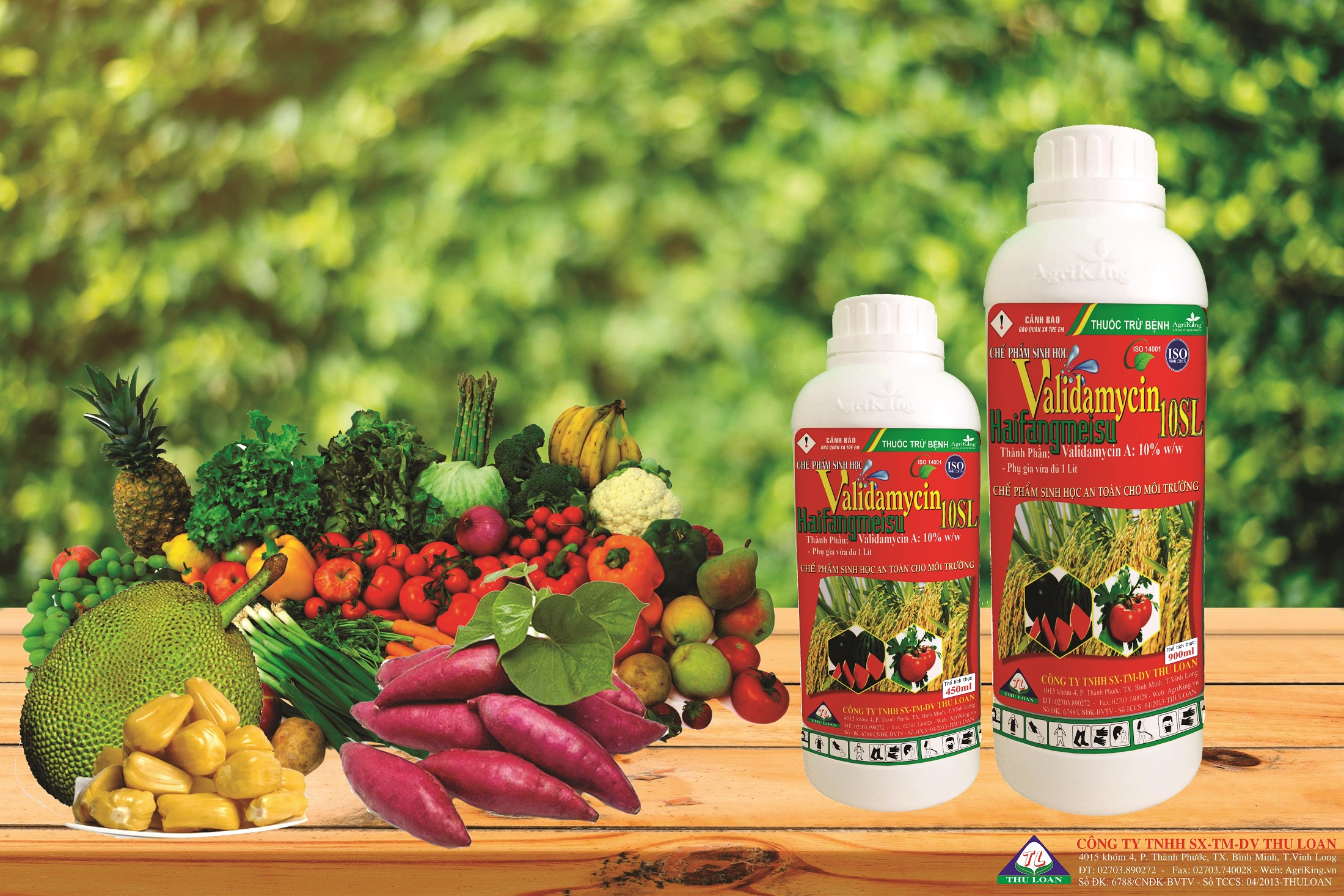 Thuốc Trừ Bệnh VALIDAMYCIN 10SL (10%) Chai 450ml