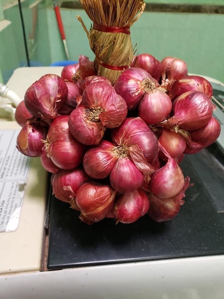1 kg hành tím củ to loại 1 giao nhanh hcm.