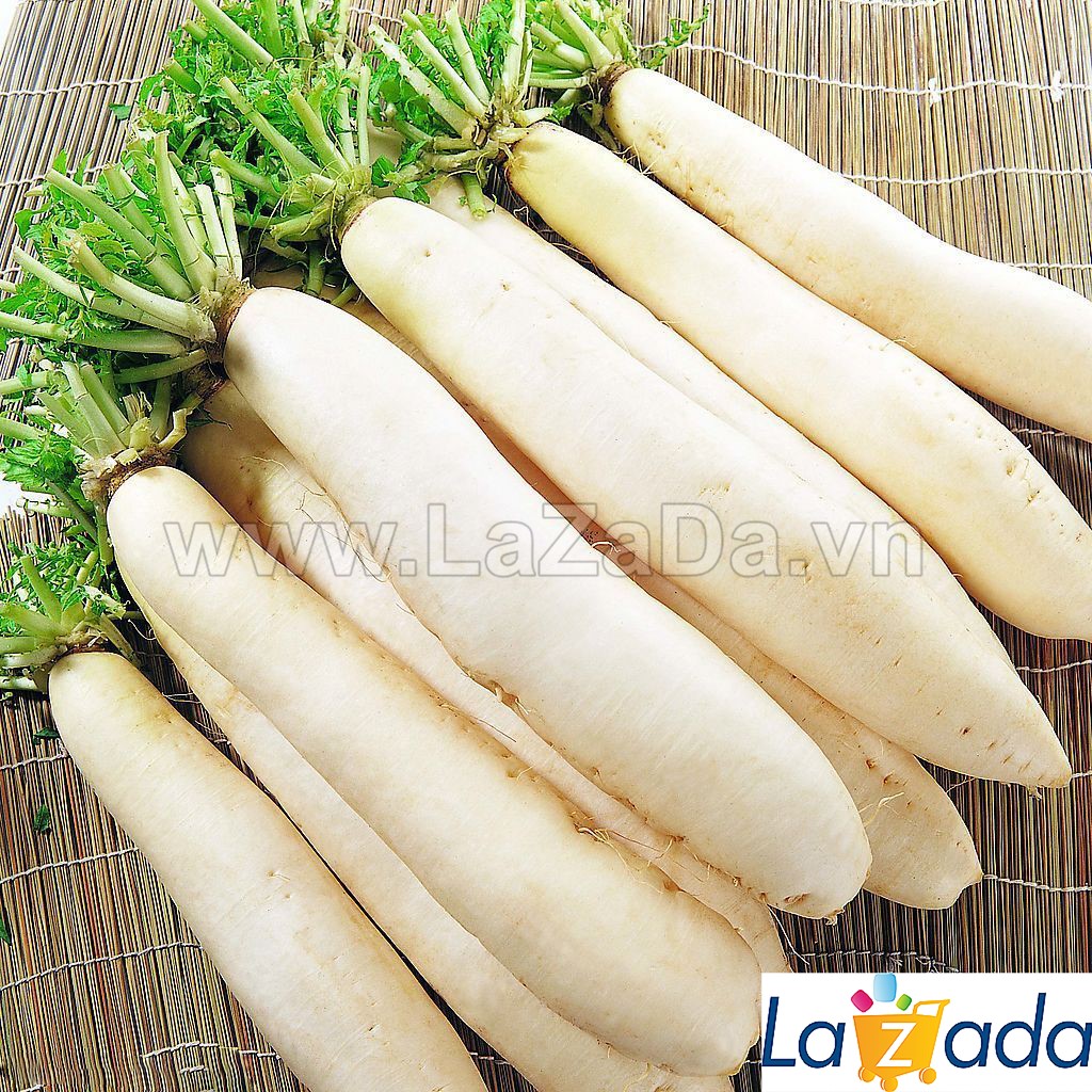 20Gr Hạt Giống Củ Cải Trắng (A1.103| Z3*W64*M152)
