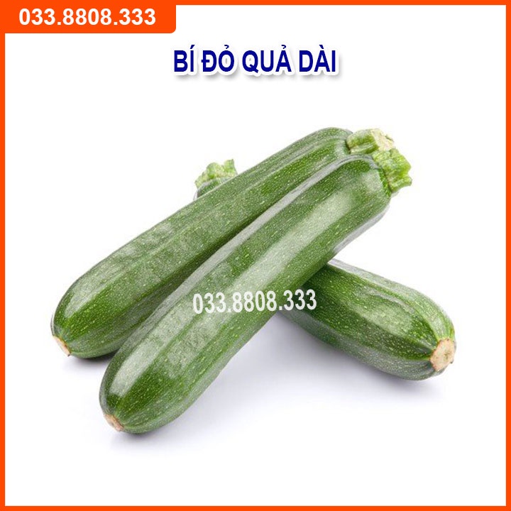 4 Loại Hạt Giống Bầu Bí ( Bí Hồ Lô - Bầu Sao - Bí Hạt Đậu - Bí Ngồi Xanh)