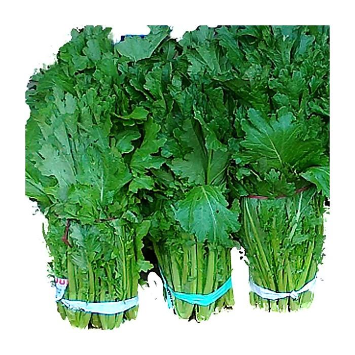 [Mới] - Combo 3 gói Hạt giống rau cải mèo