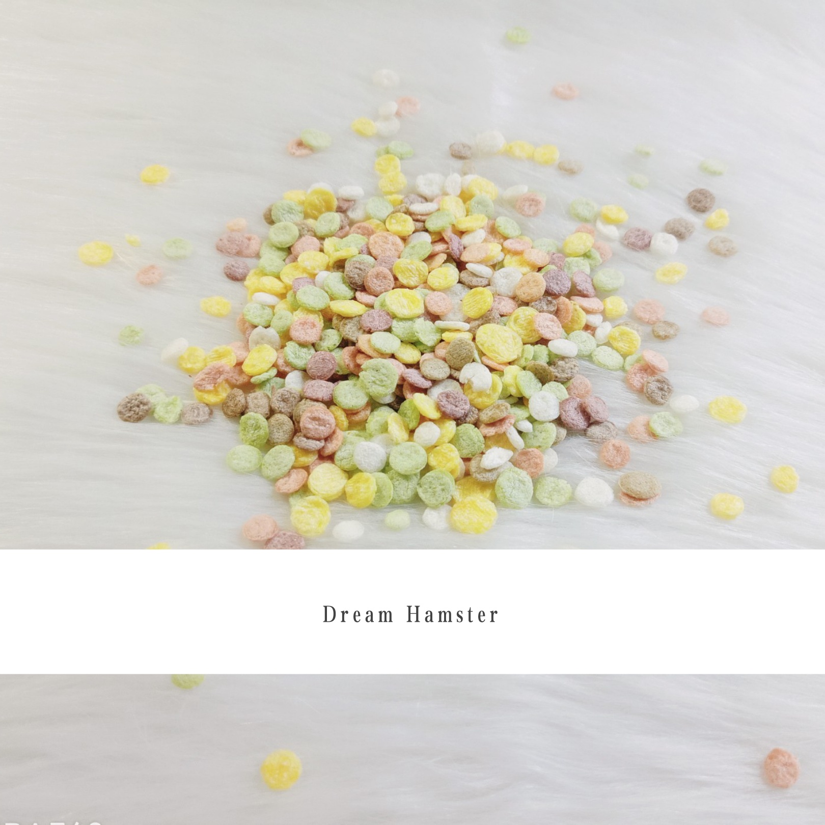 Bắp dẹp cho Hamster (50gr)