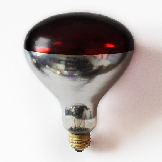 Bóng đèn úm gà hồng ngoại InterHeat 100w