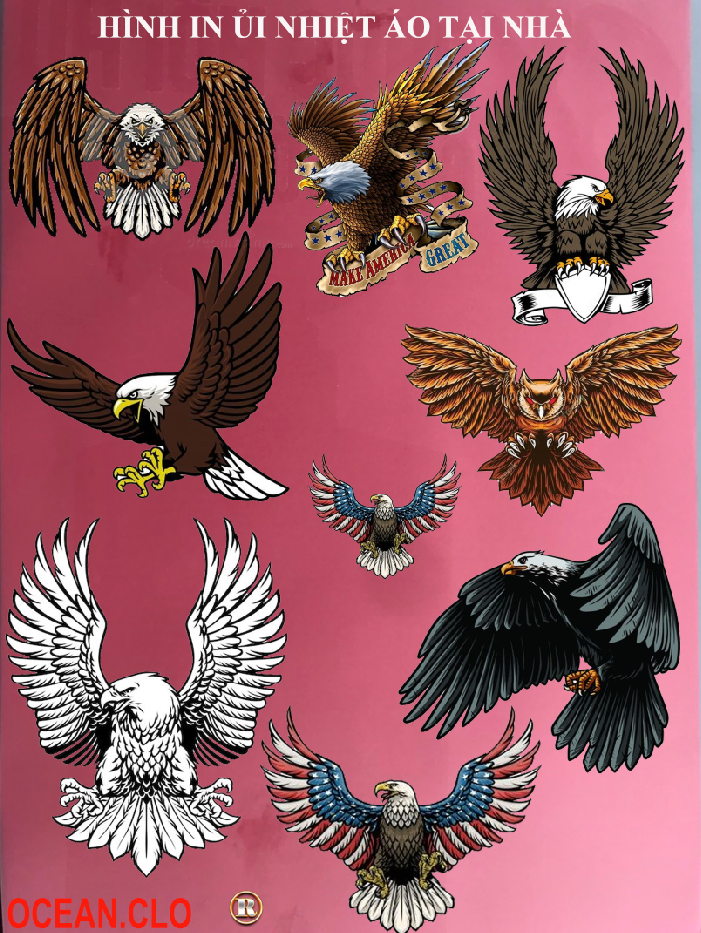 Logo American Eagle