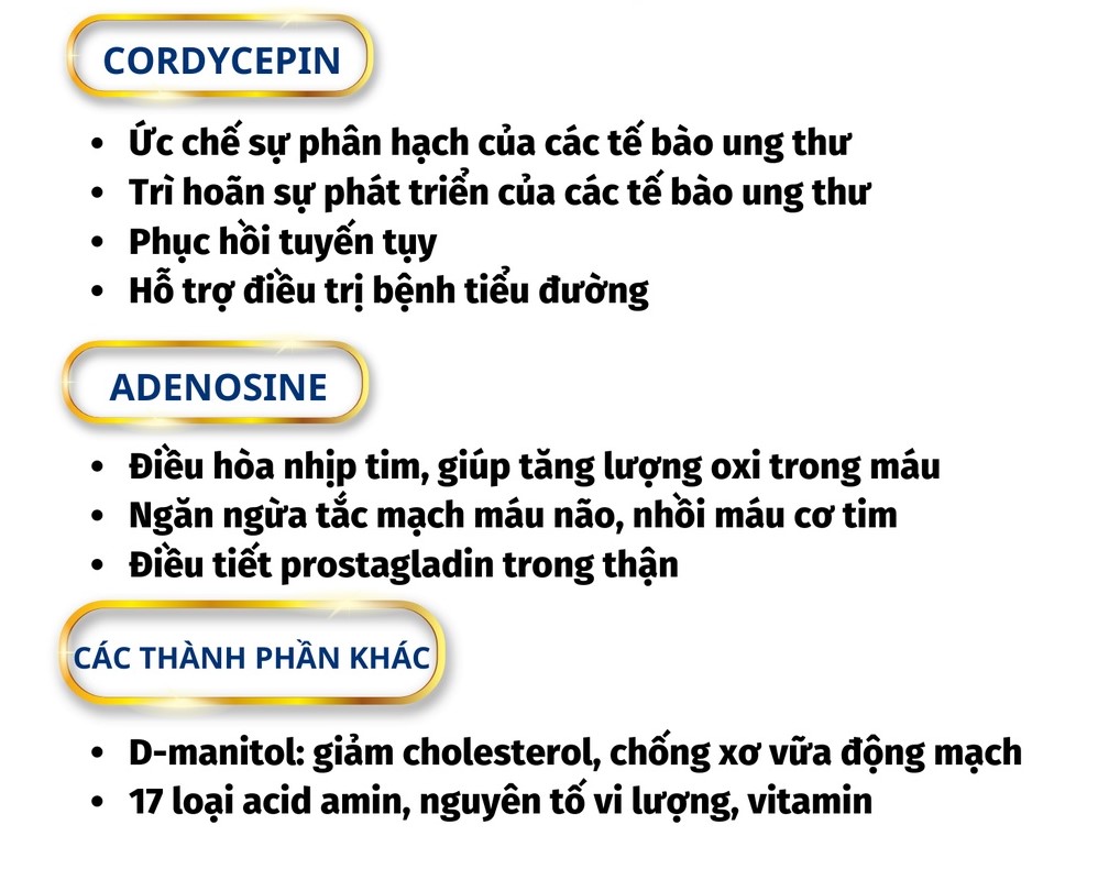 Đông trùng hạ thảo nguyên con 30con