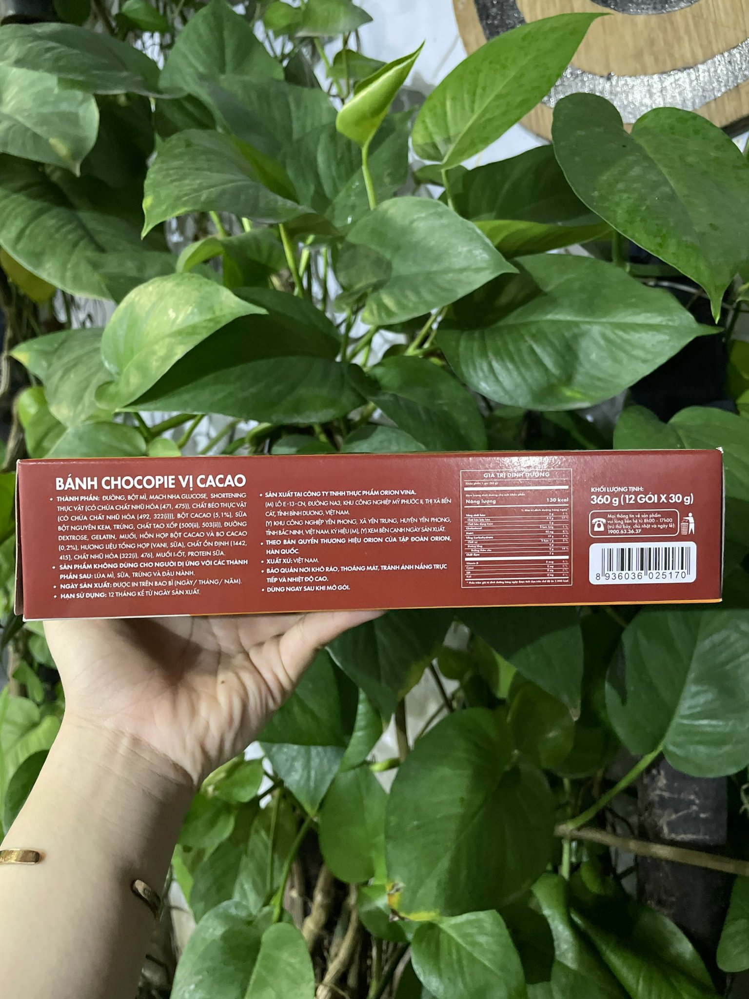 Bánh Choco Pie Orion (Hộp 12 cái)
