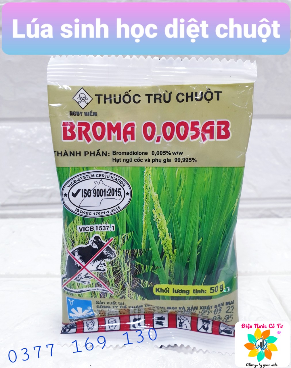 Bẫy chuột vòng cung bẫy đập chuột