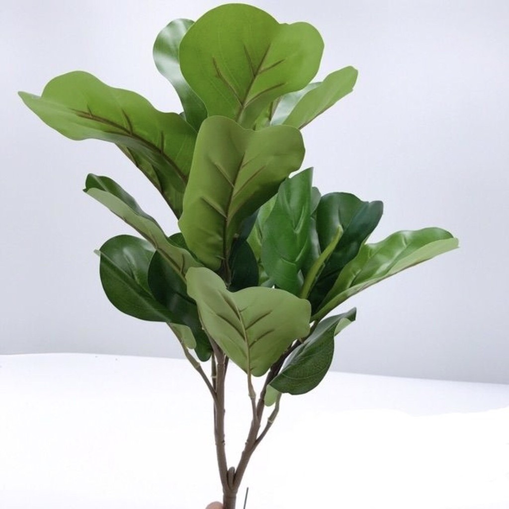 Cây bàng singapore giả cây giả trang trí phòng - Lizflower