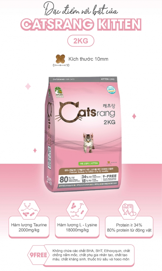 (Mua 1 TẶNG 2 HÀNG MẪU) Catsrang - Thức ăn hạt cho mèo nhỏ CATSRANG Kitten
