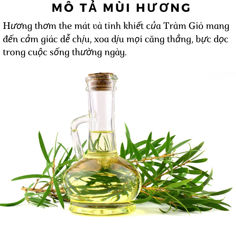 [HCM]Tinh Dầu Tràm Gió Zito 10ml