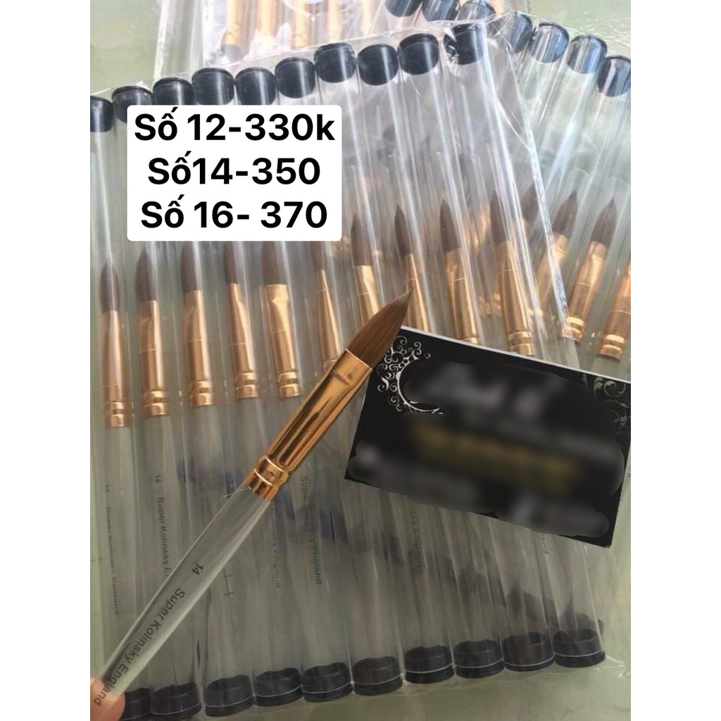 Cọ đắp bột số 12- 14 -16 lông tự nhiên 100%