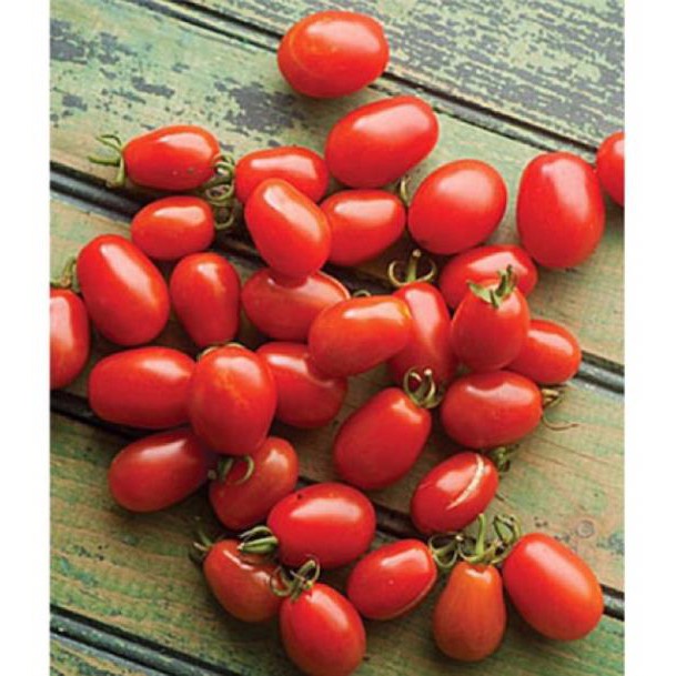 0.1Gr hạt giống cà chua bi đỏ lùn