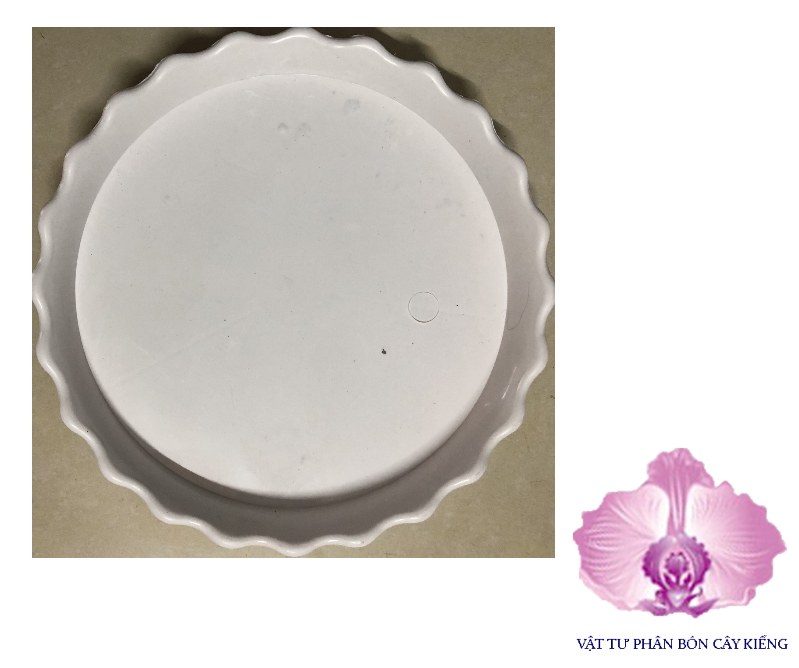 Đĩa lót chậu tròn khía 26cm - #054d#