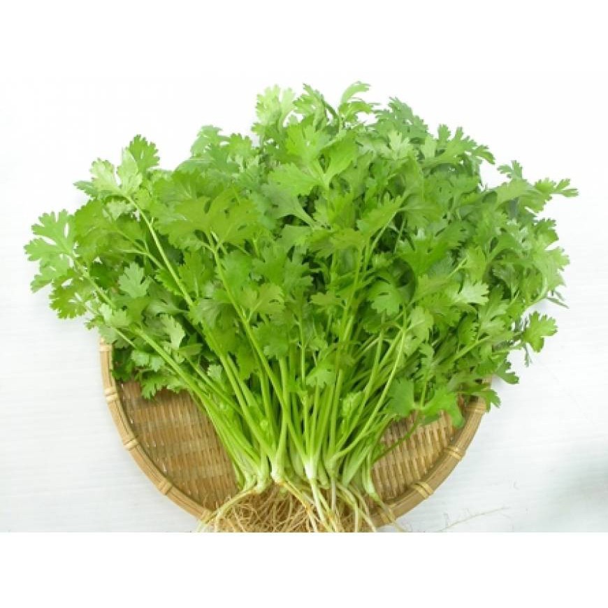 Hạt rau ngò rí - gói 20 gram