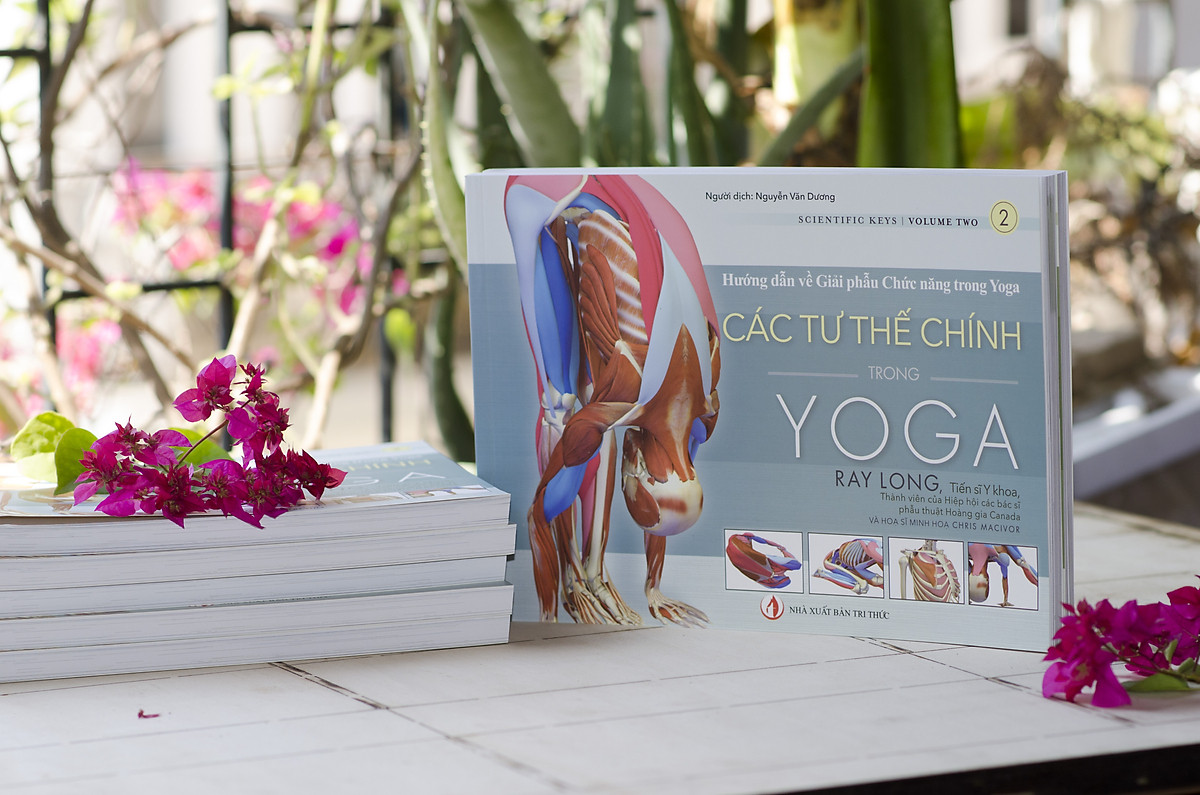 Các Tư Thế Chính Trong Yoga - Hướng Dẫn Về Giải Phẫu Chức Năng Trong Yoga |  Lazada.Vn