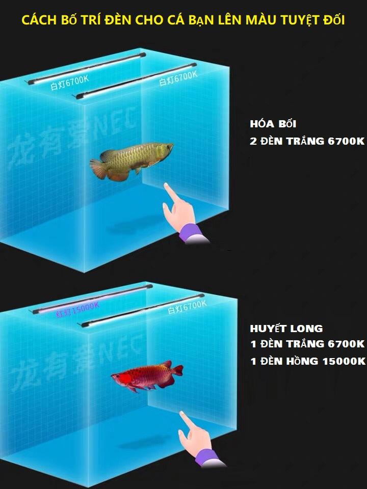 [HCM]ĐÈN CHÌM NEC TANNING CÁ RỒNG MÀU TRẮNG 128CM