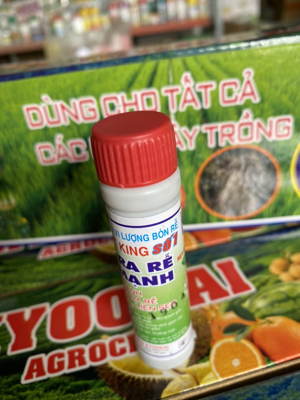 Siêu kích rễ Root Kinh (lọ 20ml) kích rễ giâm chiết cành