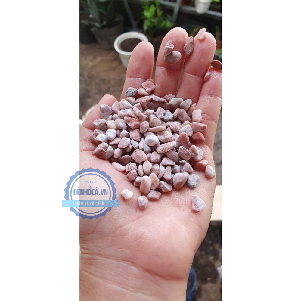 Sỏi trang trí hồ cá mini
