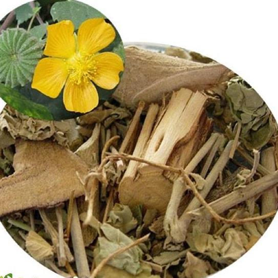 Cây cối xay 1kg
