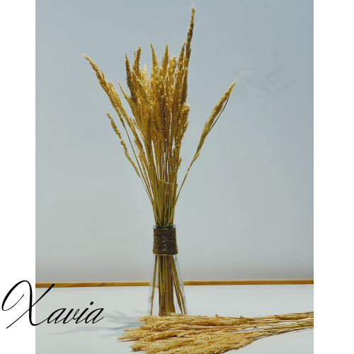 Cỏ khô decor nhà, trang trí phòng