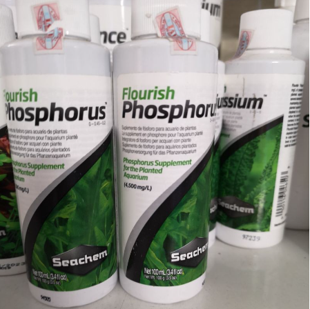 Phân nước Seachem Flourish Phosphorus 100ml, 250ml, 500ml (Nguyên tem - Chính hãng)
