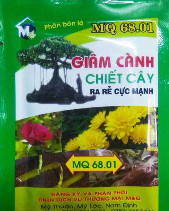 Phân bón ra rễ cực mạnh cho Giâm cành, chiết cây