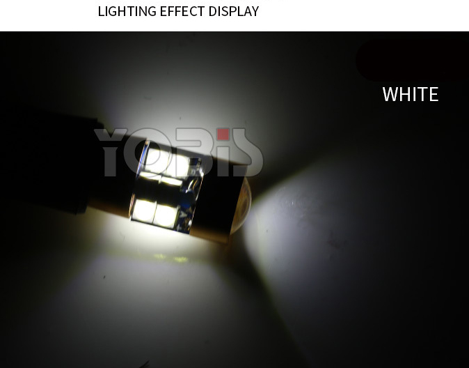 Đèn LED biển số xe T10 W5W chip 3030, 19 bóng Dùng cho đèn xi nhan, đèn định vị, đèn đuôi xe, đèn biển số