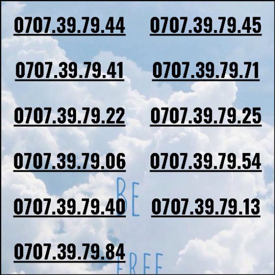 [HCM]Sim thần tài 3979 dễ nhớ phong thủy