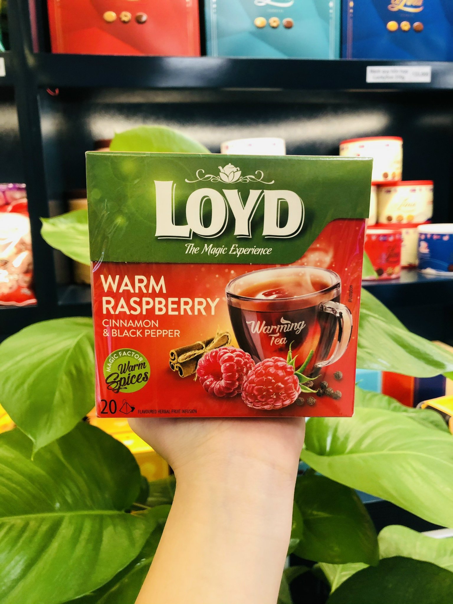 TRÀ LOYD DATE T3/4-2024