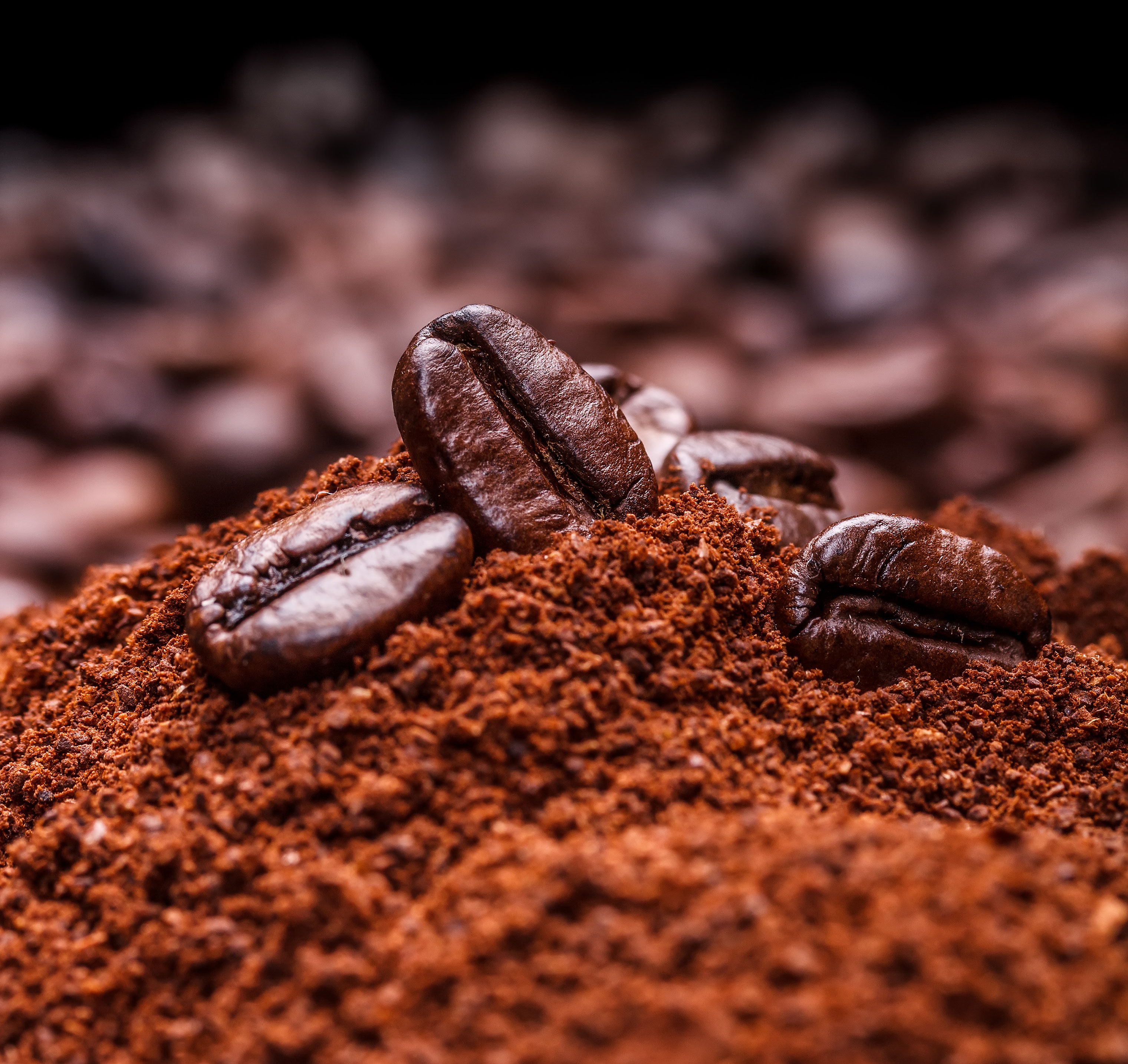 Cà phê Pha Phin Arabica Cầu Đất ( 4 gói x 250g)