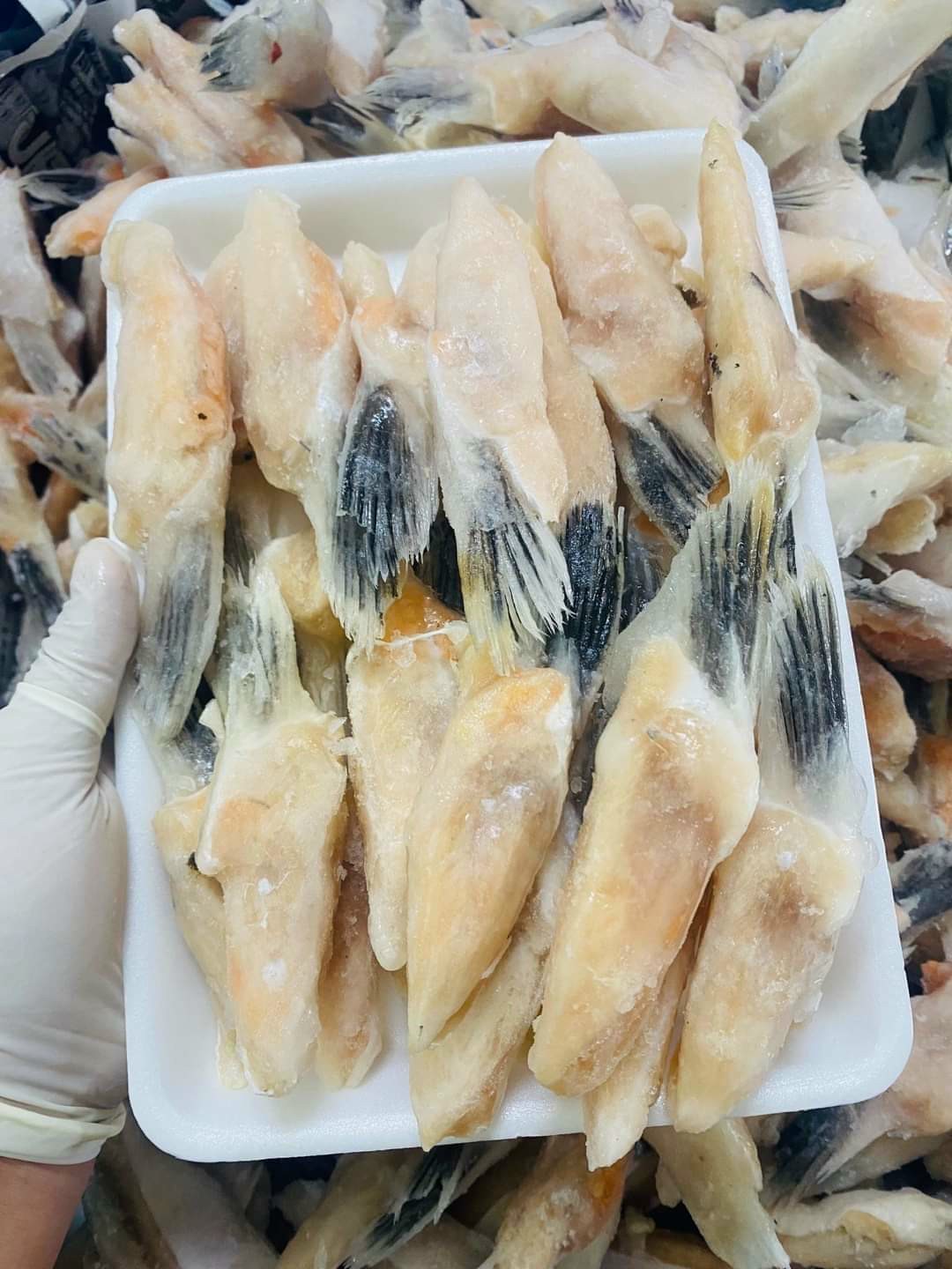 ￼Vay cá hồi nauy 500gr (giao tphcm)
