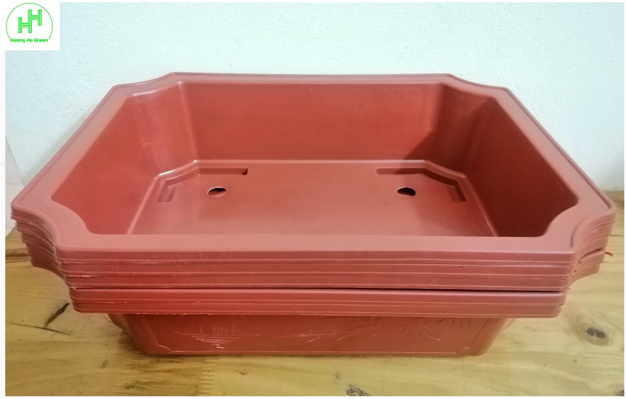 5 Chậu Nhựa Trồng Cây Hình Chữ Nhật Màu Nâu Siêu Đẹp Kích Thước 450x320x110 - Sản Xuất Bởi NHỰA BÌNH THUẬN