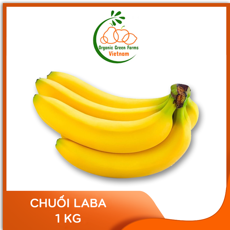 [OGF] - Chuối Laba (1 kg) - [Giao nhanh TPHCM]