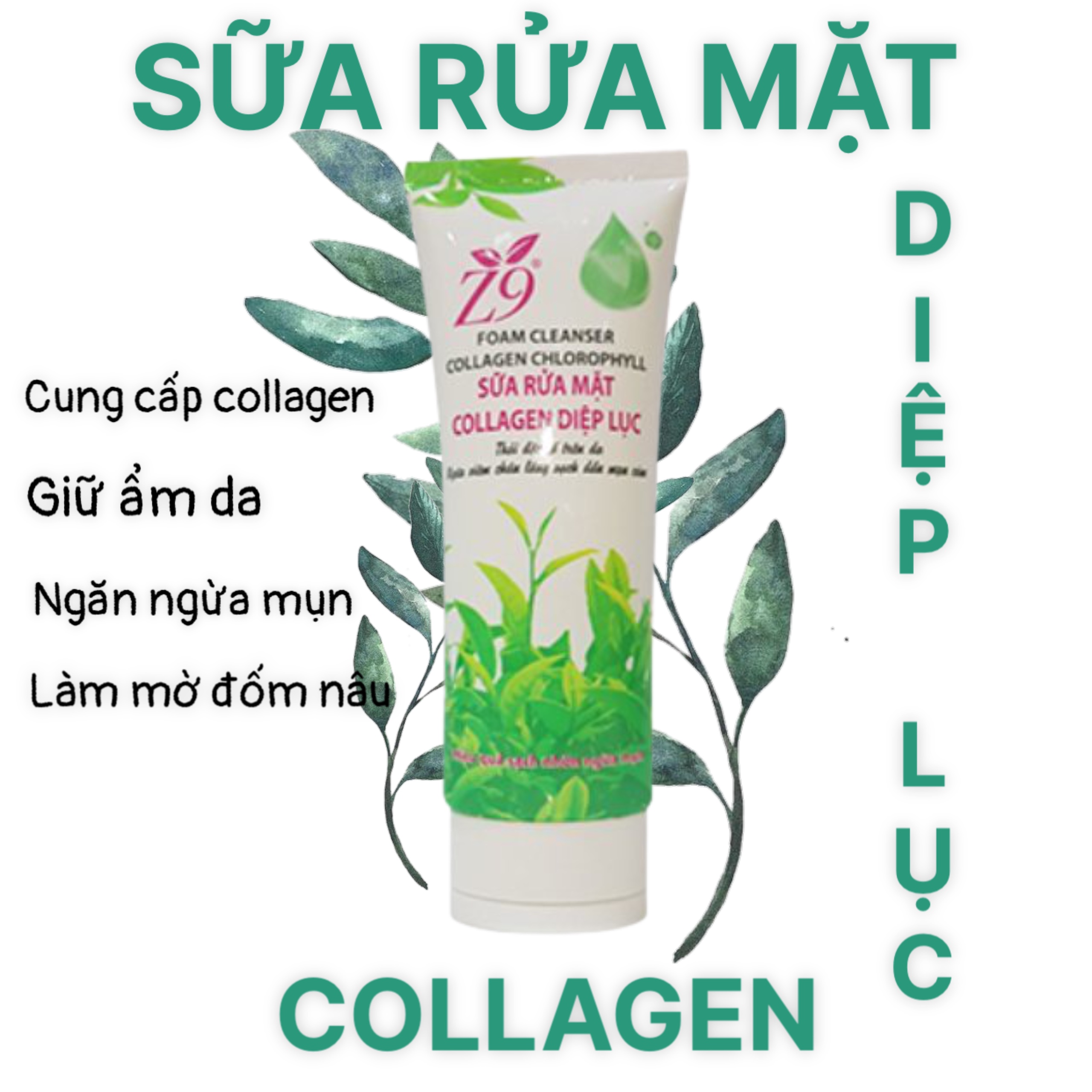 Z9 SỮA RỬA MẶT COLLAGEN DIỆP LỤC (Tuýp 100ml) - Z65