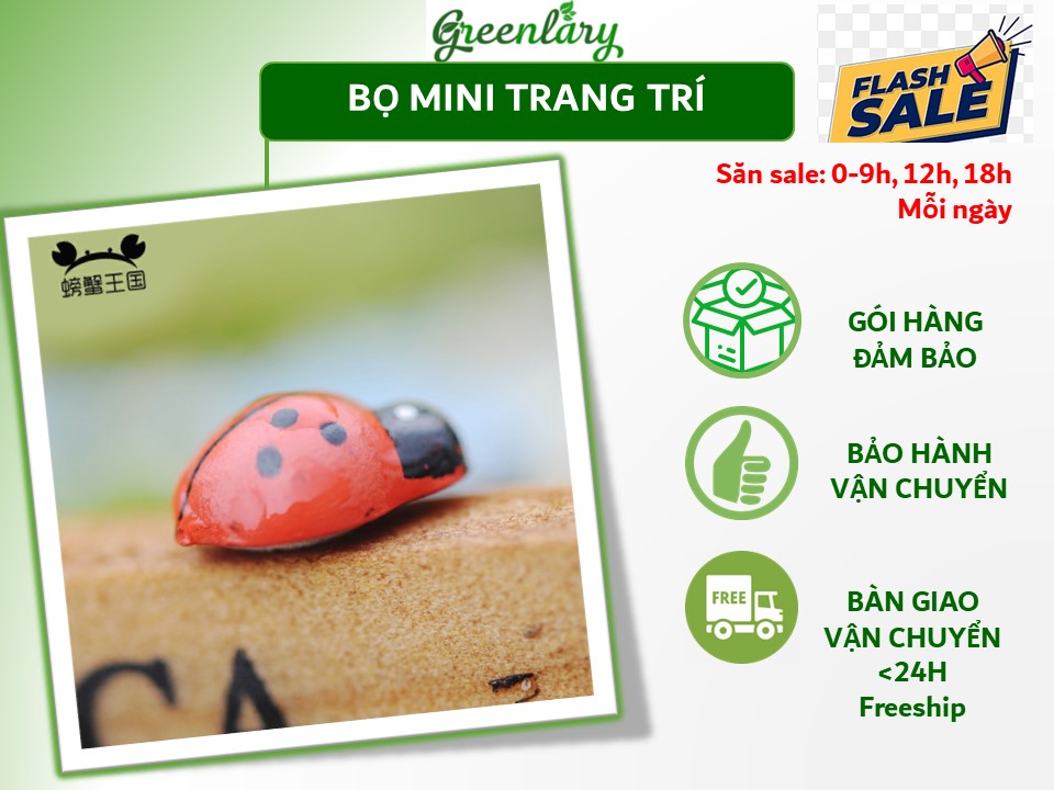 Bọ mini trang trí terrarum, tiểu cảnh sen đá.