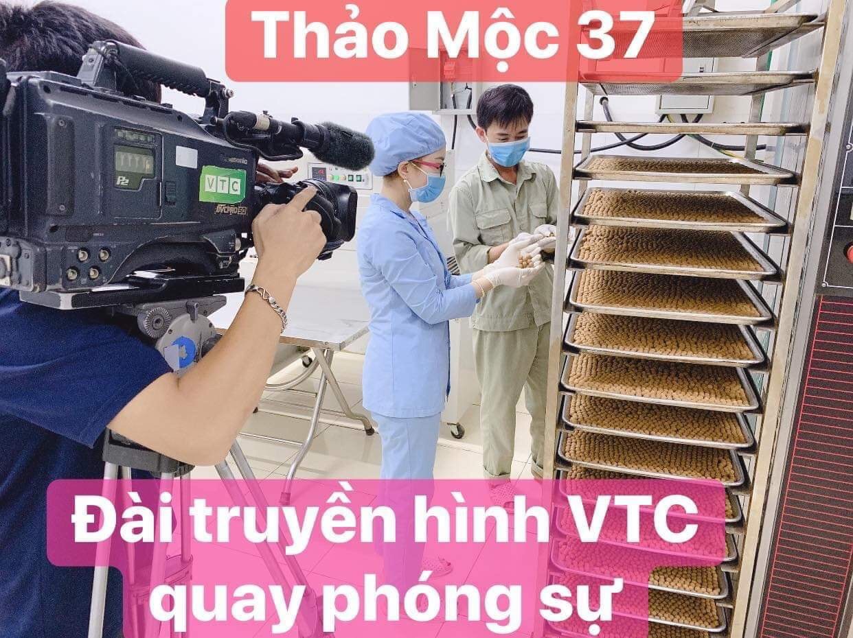 combo 5 hộp Kẹo mầm lúa mạch gold tăng size vòng 1