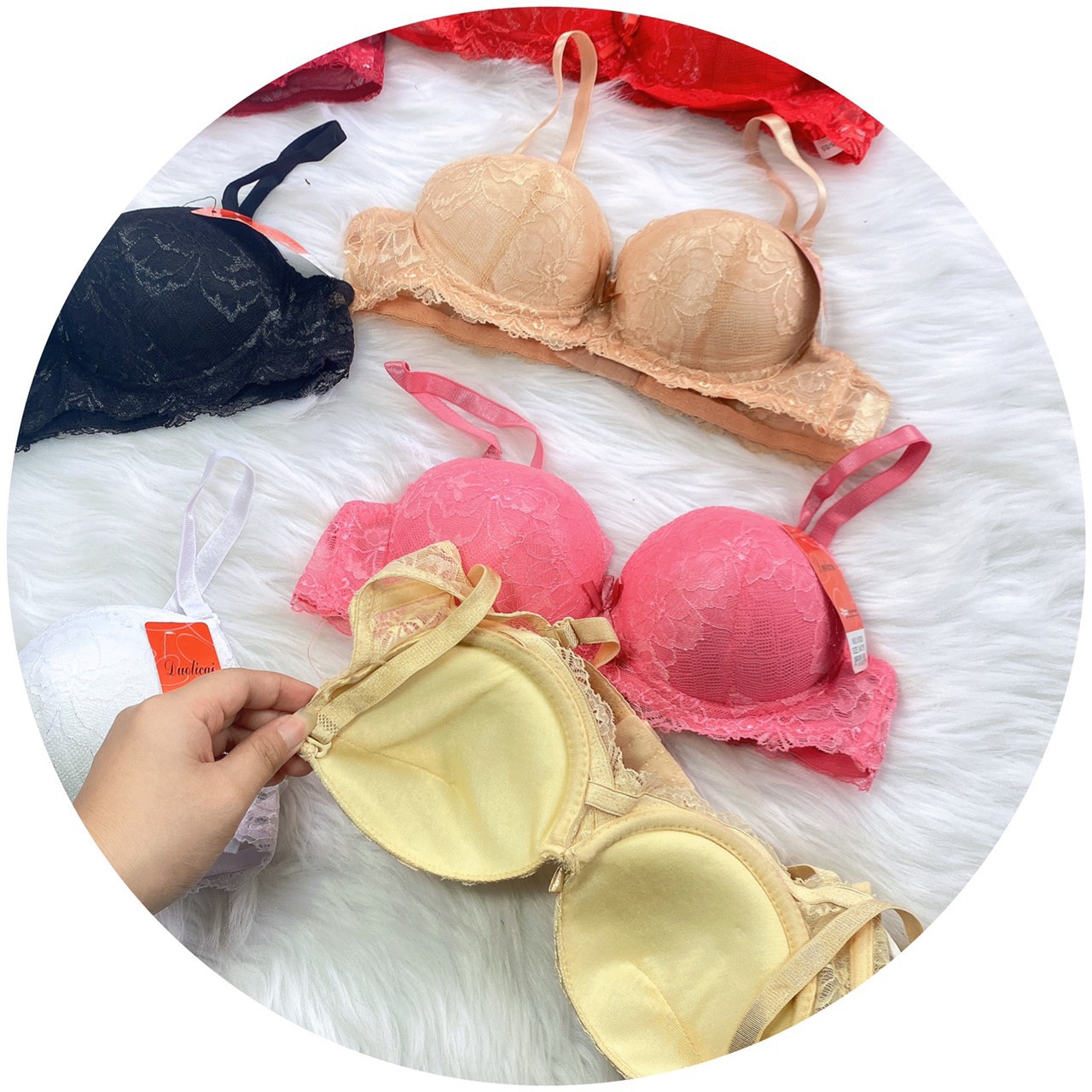 COMBO 3 Áó lót ren đệm 3cm 34,36,38