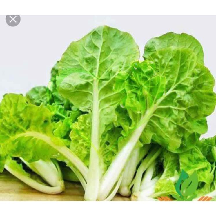 Hạt giống cải bẹ dún - gói 10 gram