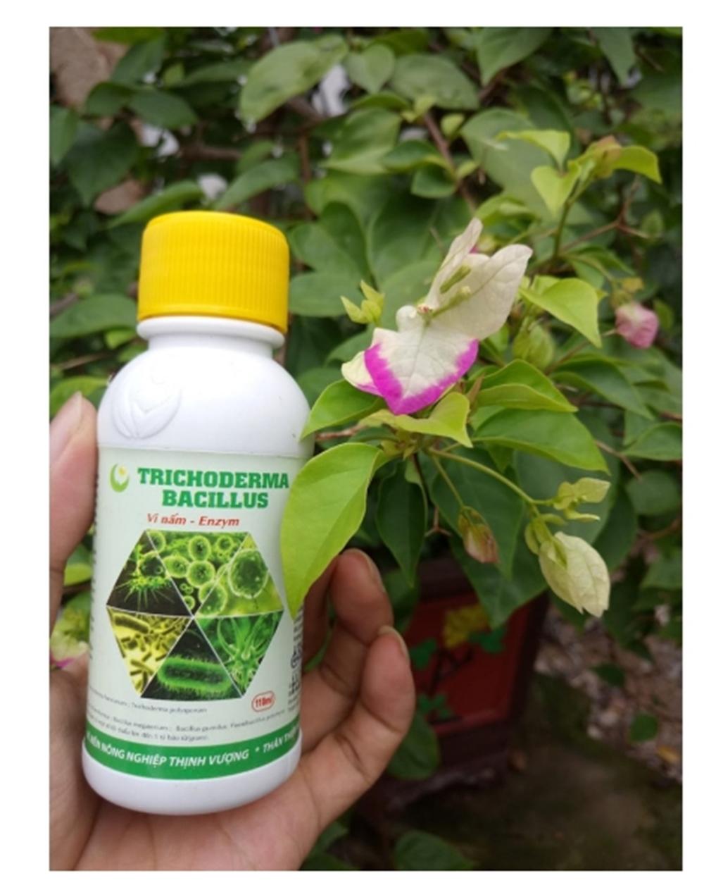 Nấm đối kháng Trichoderma- 110ml - Hàng chuẩn
