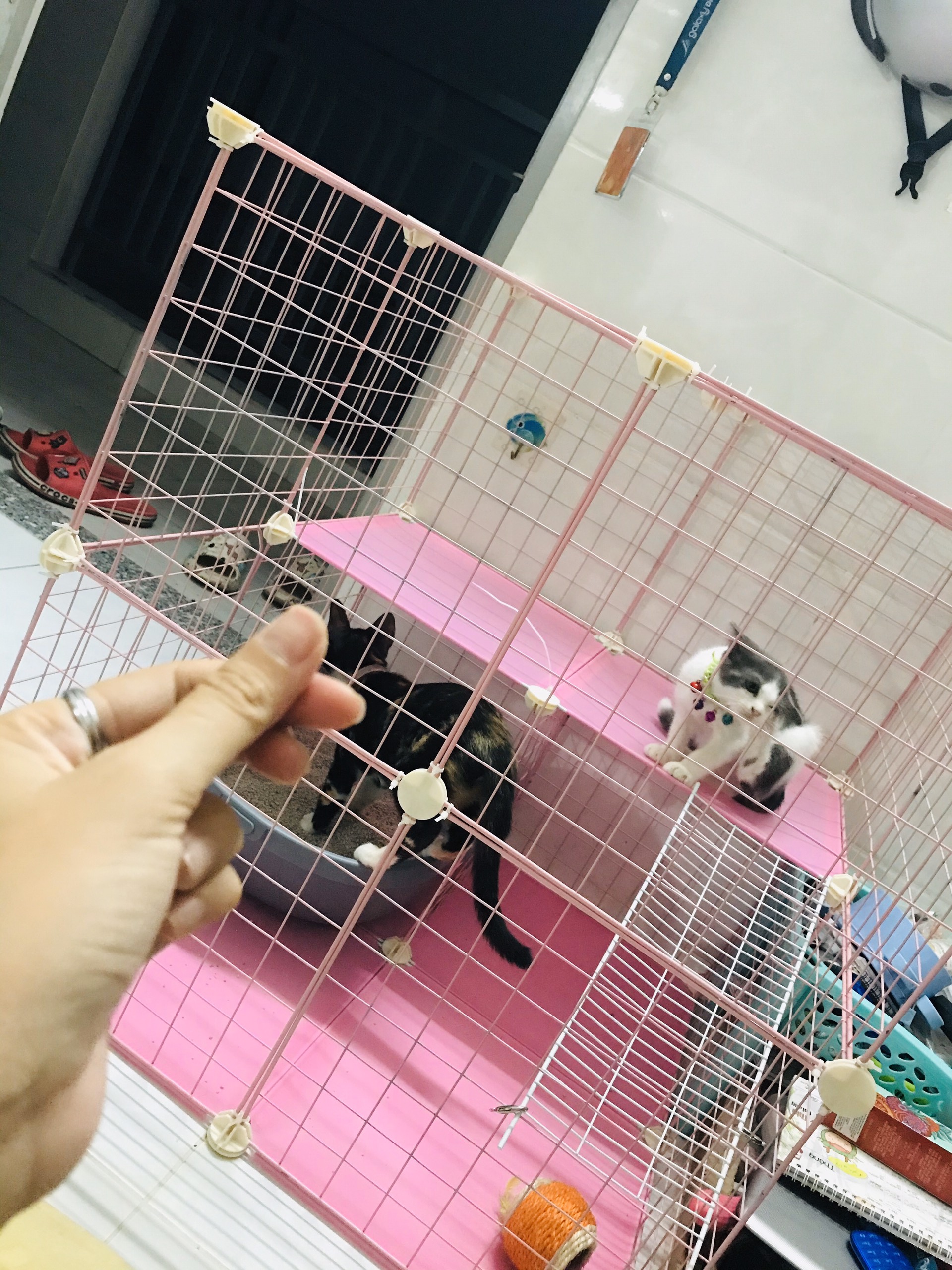 Combo chuồng Mèo Tự Lắp Ghép 4 ô thông minh .
